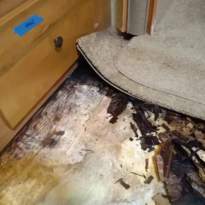 Wood Floor Water Damage in La Jolla, CA